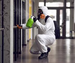 Best Mold Removal for HVAC Installations  in Forney, TX